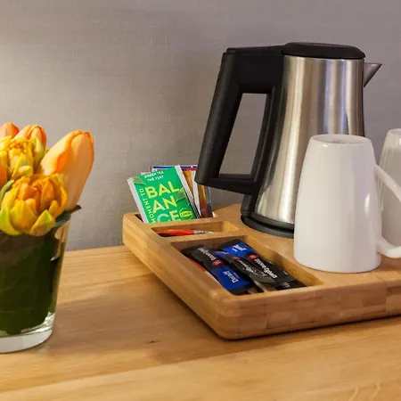 The Delphi - Townhouse 4* אמסטרדם